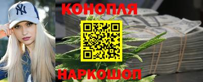 СК Бийск