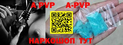 СК Бийск