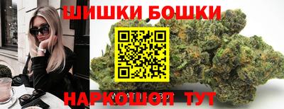 СК Бийск