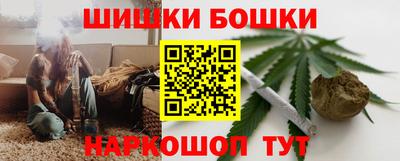 СК Бийск