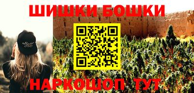 СК Бийск