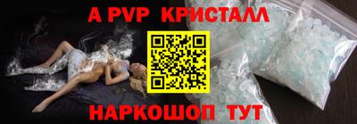 СК Бийск