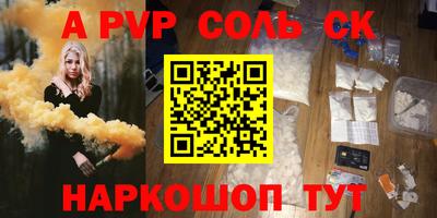 СК Бийск